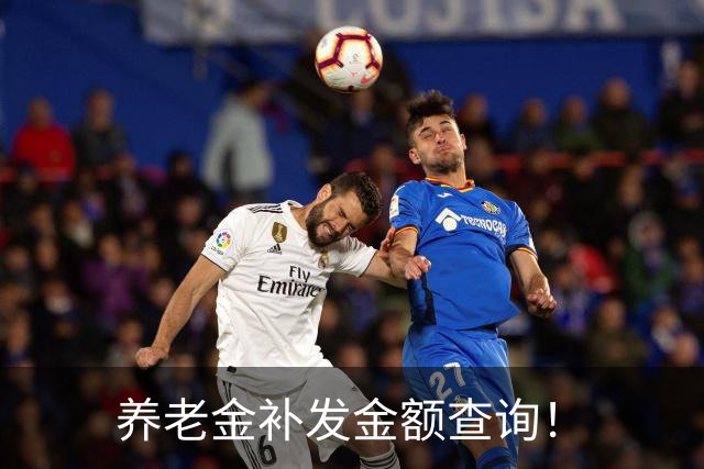 养老金补发金额查询！