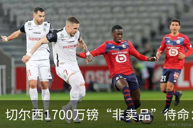 切尔西1700万镑“非卖品”待命：大马丁伤退，冬窗会补门将吗？