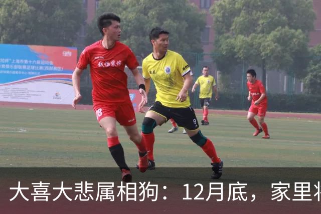 大喜大悲属相狗：12月底，家里将发生5件大事，提前准备